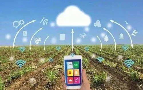 智慧農業 以數據賦能農業現代化高質量發展