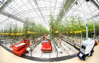 點(diǎn)點(diǎn)手機(jī)就能管理大棚，濰坊壽光以數(shù)字化賦能蔬菜產(chǎn)業(yè)升級(jí)