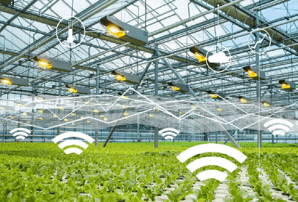 物聯(lián)網(wǎng)時(shí)代下，物聯(lián)卡在智慧農(nóng)業(yè)中的應(yīng)用場(chǎng)景與特性解析